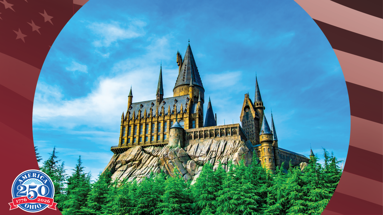 Castle on a hill surrounded by trees