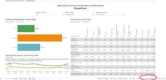 Infographic of a Dispositions dashboard for Ohio courts of common pleas, juvenile division