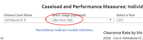 Infographic of a dashboard visualization showing parentheses around the filter selections, indicating they are invalid